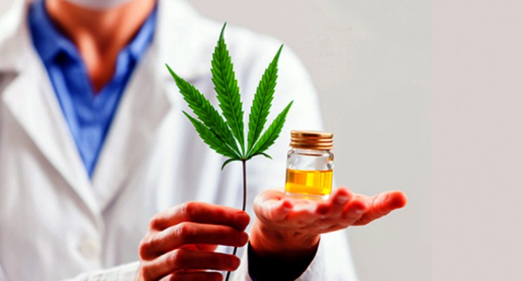 Entenda como é fácil para o profissional de saúde prescrever Cannabis medicinal em 2021